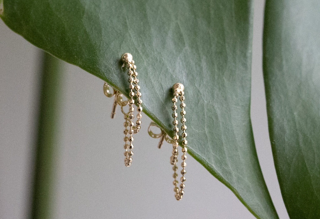 Diamond-Cut Chain Earrings Hanging on Plant
