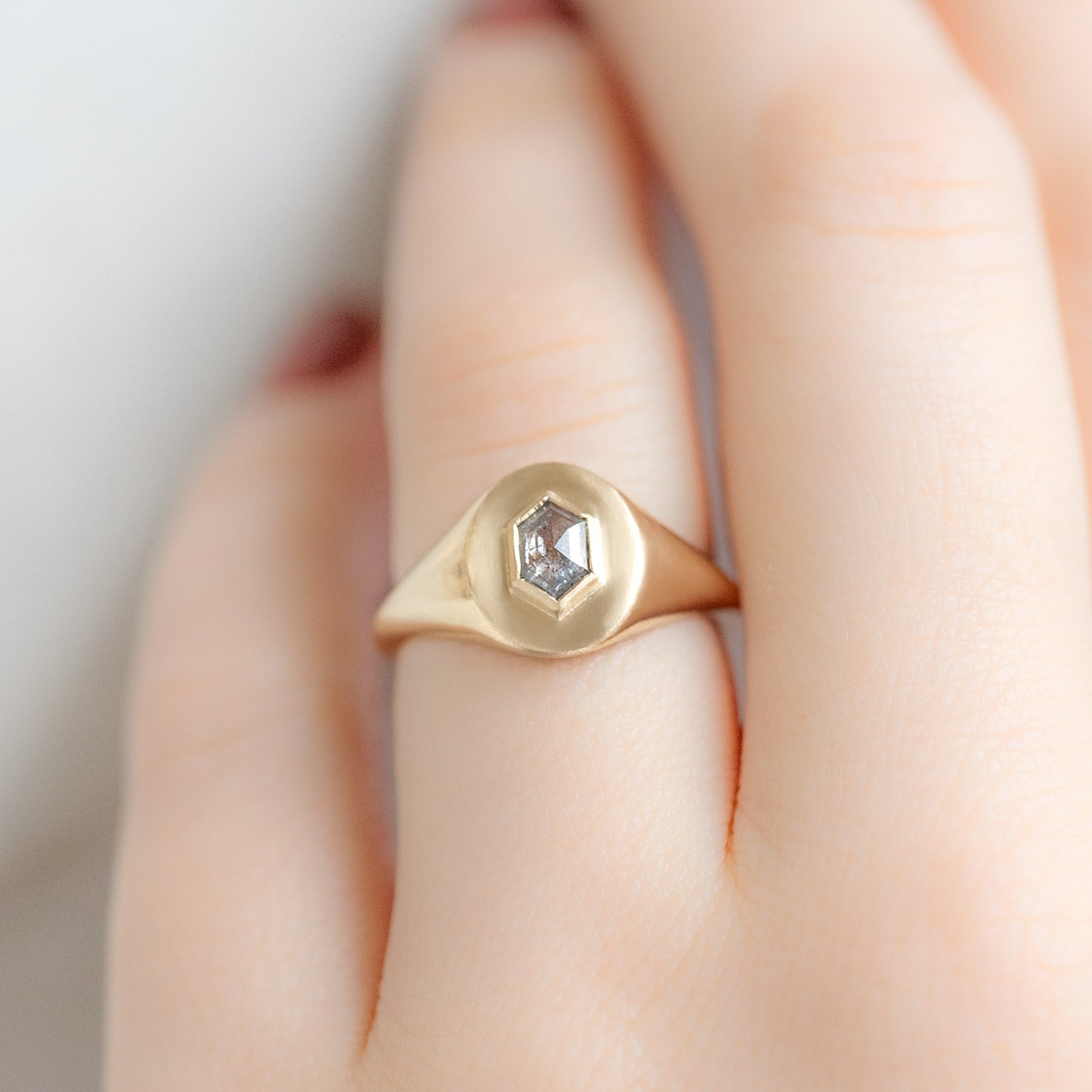 The Signet Ring | 0.38ct Hexagon Salt and Pepper Diamond in 10K Yellow Gold