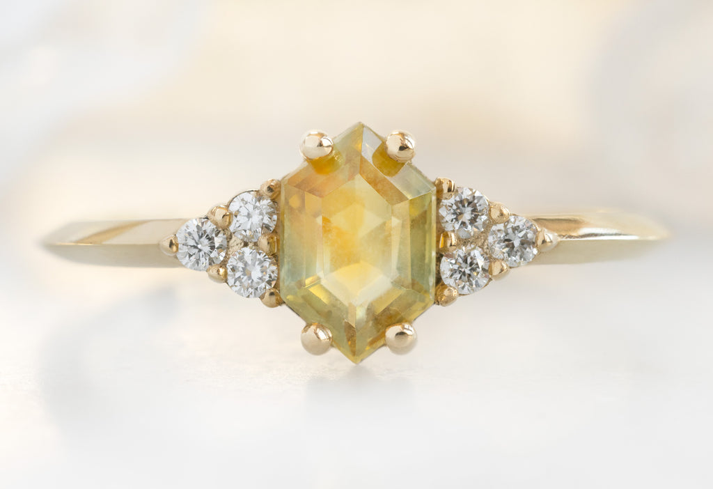 The Ivy Ring with a Bicolor Sapphire Hexagon