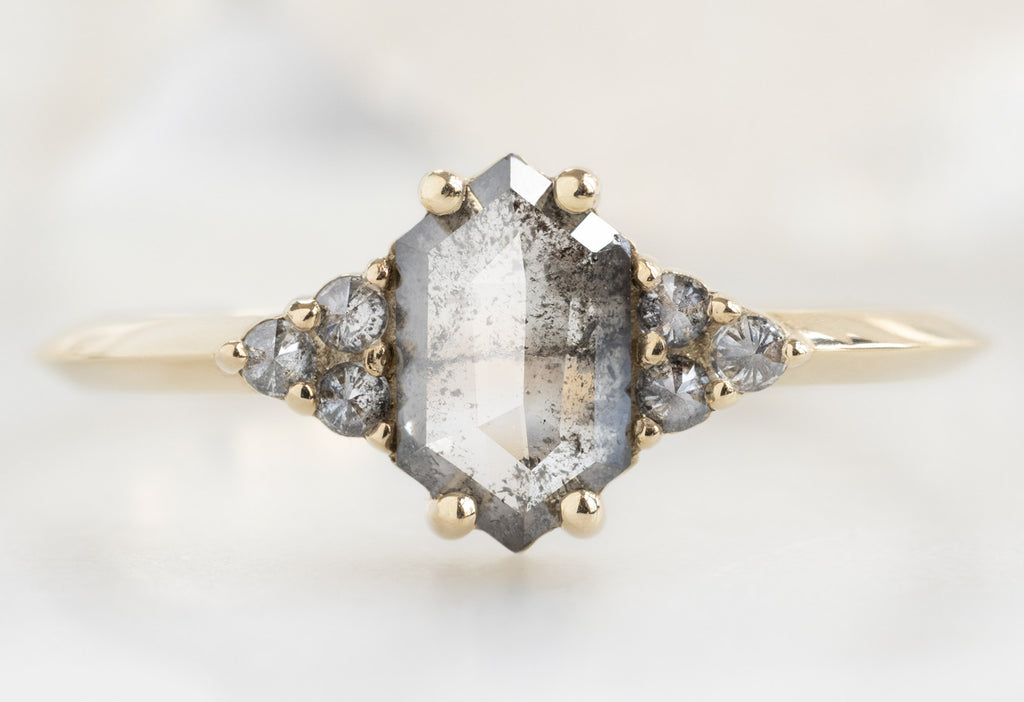 The Ivy Ring with a Salt and Pepper Hexagon Diamond