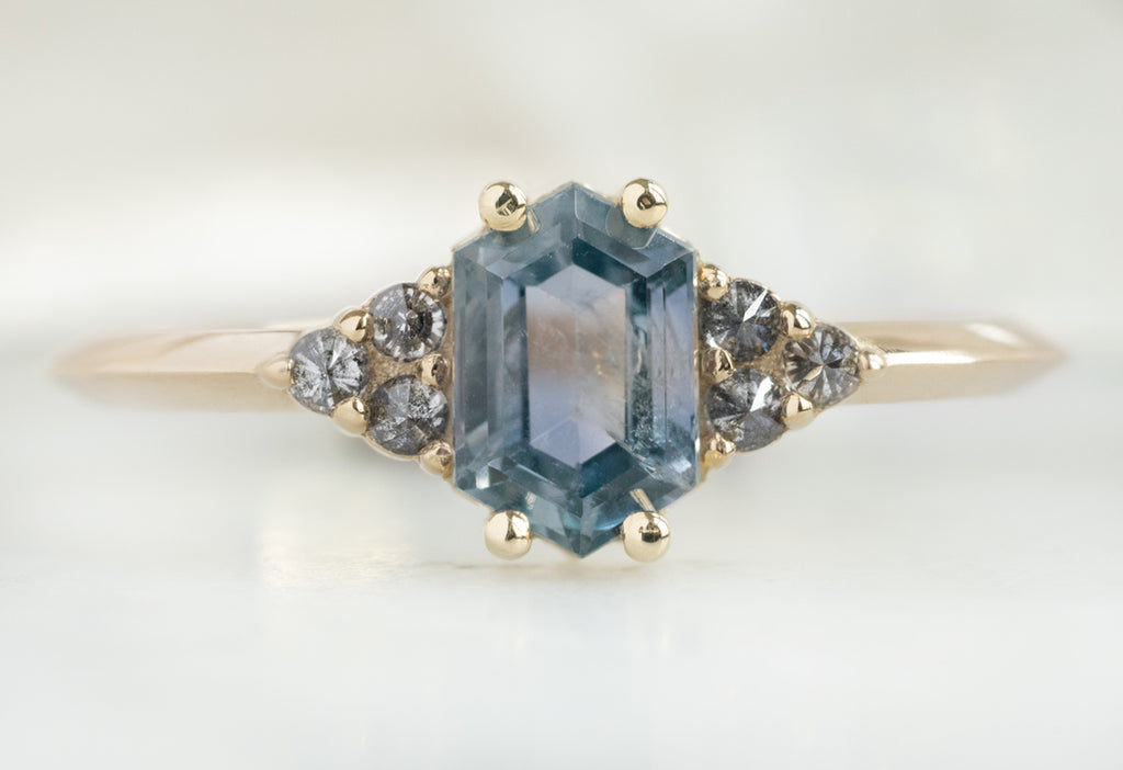 The Ivy Ring with a Montana Sapphire Hexagon