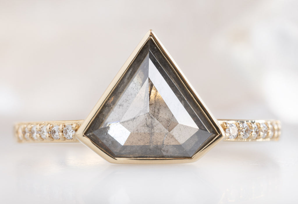 The Willow Ring with a Shield-Cut Salt and Pepper Diamond