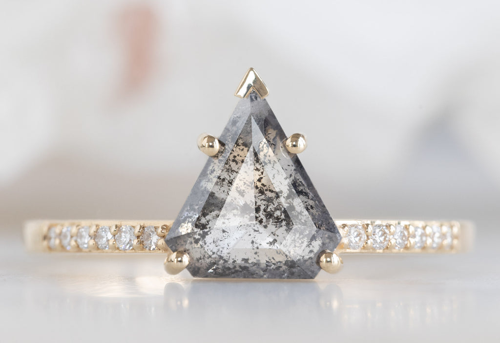 The Willow Ring with a Shield-Cut Salt and Pepper Diamond