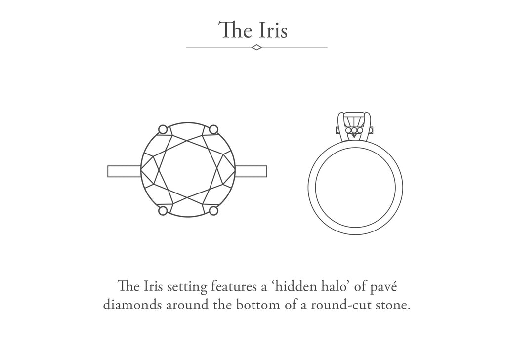 The Iris Ring with a Salt & Pepper Round Diamond